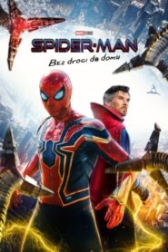 Spider-Man: Bez drogi do domu Cały Film HDTV 2021 Dubbing PL