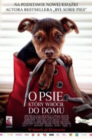 O psie, który wrócił do domu Cały Film HDTV 2019 Dubbing PL