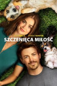 Szczenięca miłość Cały Film HDTV 2023 Dubbing PL