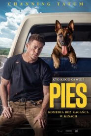 Pies Cały Film HDTV 2022 Dubbing PL