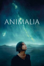 Animalia Cały Film HDTV 2023 Dubbing PL