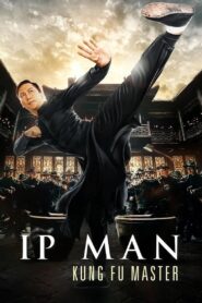 Ip Man Kung Fu Master Cały Film HDTV 2019 Dubbing PL