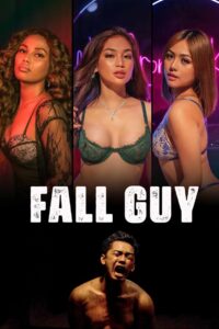 Fall Guy Cały Film HDTV 2023 Dubbing PL