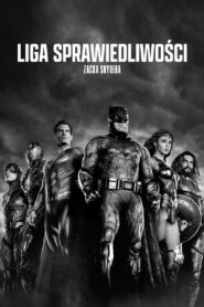 Liga Sprawiedliwości Zacka Snydera Cały Film HDTV 2021 Dubbing PL