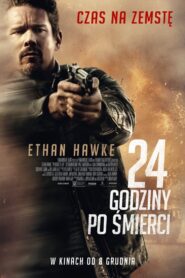 24 godziny po śmierci Cały Film HDTV 2017 Dubbing PL