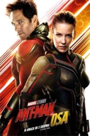 Ant-Man i Osa Cały Film HDTV 2018 Dubbing PL