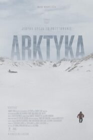 Arktyka Cały Film HDTV 2018 Dubbing PL